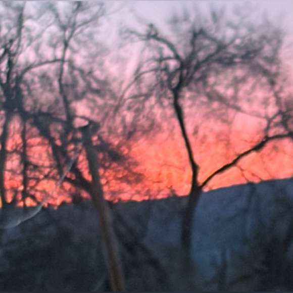 Meet your Posher, Stephanie - Picture 2 of 2